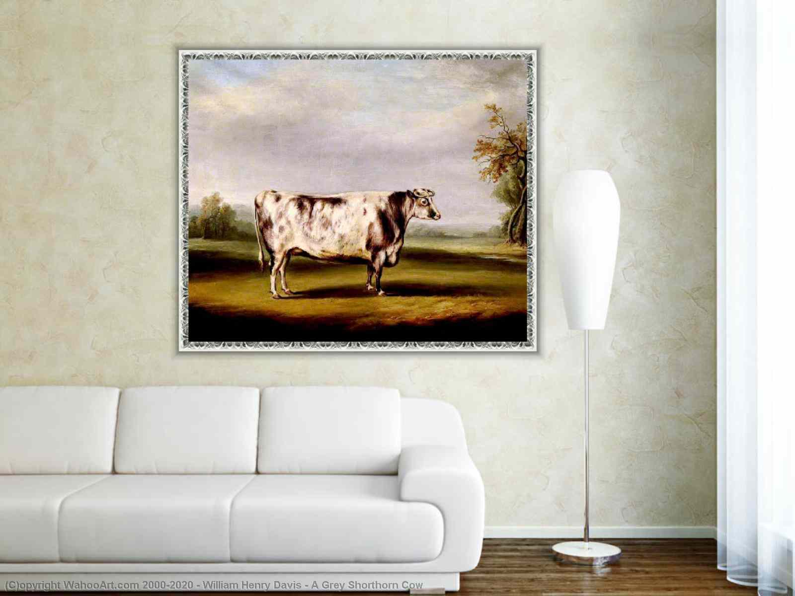 A Grey Shorthorn Cow by William Henry Davis Reproduction Painting